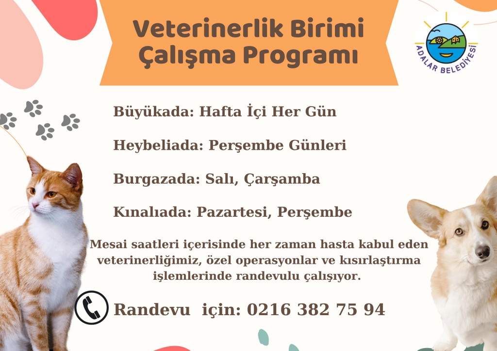 Veteriner Hizmetleri Birimimiz çalışmalarını ada ada sürdürüyor