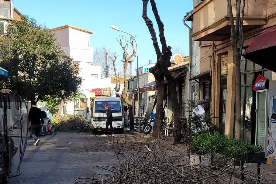 Budama Çalışmalarımız Devam Ediyor